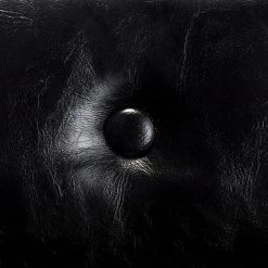 Designs4Comfort Gabriella Black Faux Leather/EspressoBench Ottoman 23 in. H X 19.5 in. W X 49.5 in D by Convenience Concepts -Cheap Convenience Concepts Store black faux leather espresso convenience concepts bedroom benches r8 210 4f 1000