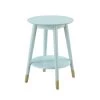 Wilson Mid Century Sea Foam Round with Bottom Shelf End Table by Convenience Concepts -Cheap Convenience Concepts Store sea foam convenience concepts end side tables r6 258 64 1000